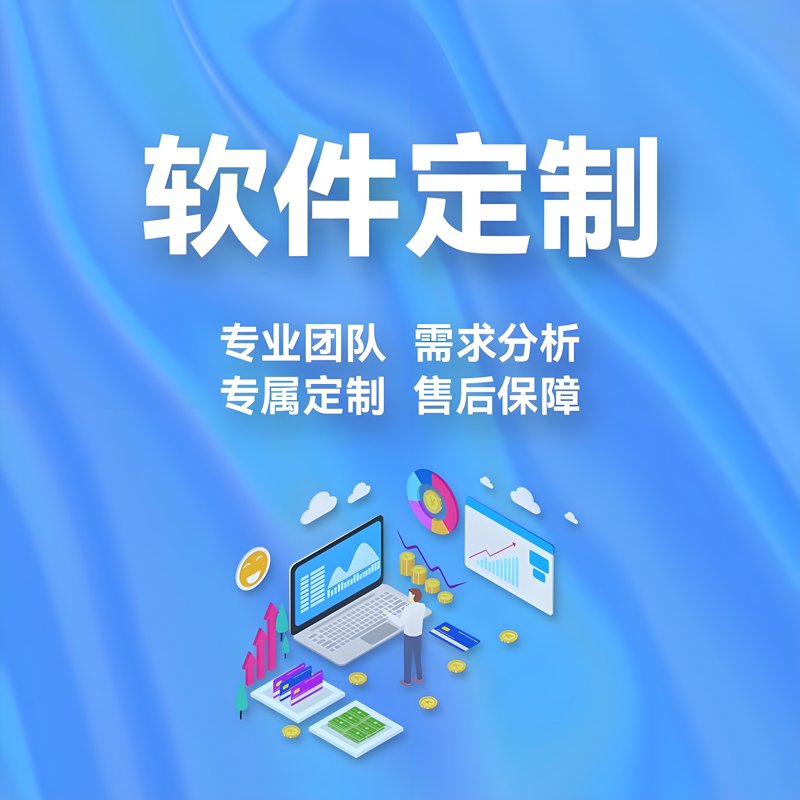 上海软件公司:信息技术发展的缩影