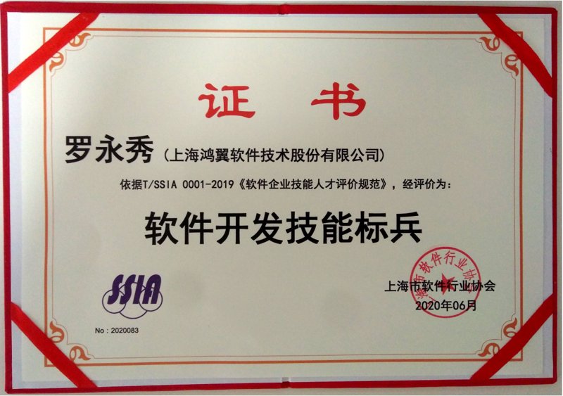 软件定制开发：您的企业能否受益？